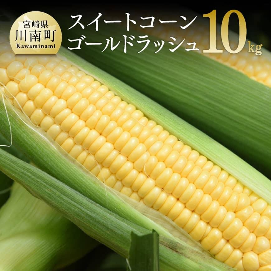 【ふるさと納税】 【令和7年発送】朝どれ！守部さんちのゴールドラッシュ10kg - 先行予約 数量限定 宮崎県産(川南町産) とうもろこし 送料無料 期間限定 朝どれ D06412