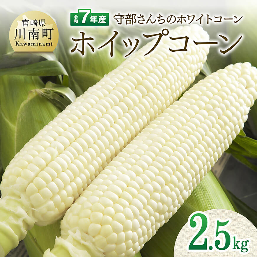 【ふるさと納税】【令和7年度産】守部さんちのホワイトコーン「ホイップコーン」2.5kg - とうもろこし ホワイトコーン トウモロコシ ホイップコーン 令和7年発送 先行予約 数量限定 期間限定 C06401