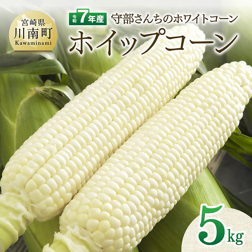 【ふるさと納税】【令和7年度産】守部さんちのホワイトコーン「ホイップコーン」5kg - とうもろこし ホワイトコーン トウモロコシ ホイップコーン 令和7年発送 先行予約 数量限定 期間限定 C06402