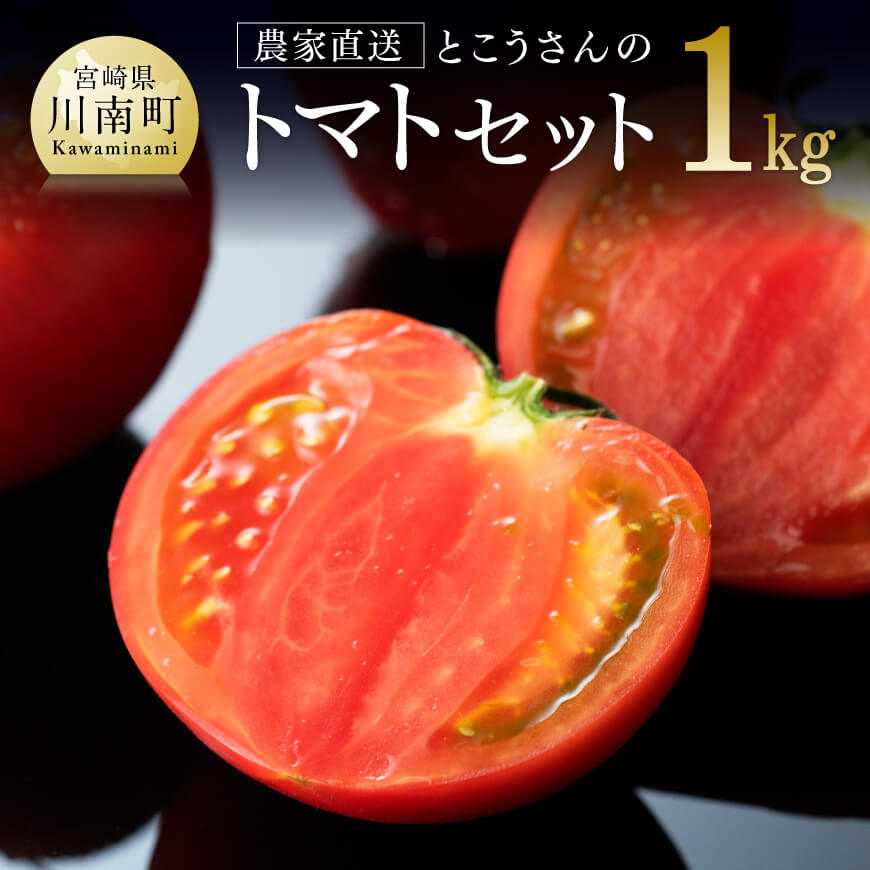 【ふるさと納税】宮崎県産とまと とこうさんのトマト1ｋｇ(9～18個) - とまと トマト 宮崎県産 川南町産 農家直送 E6601 送料無料