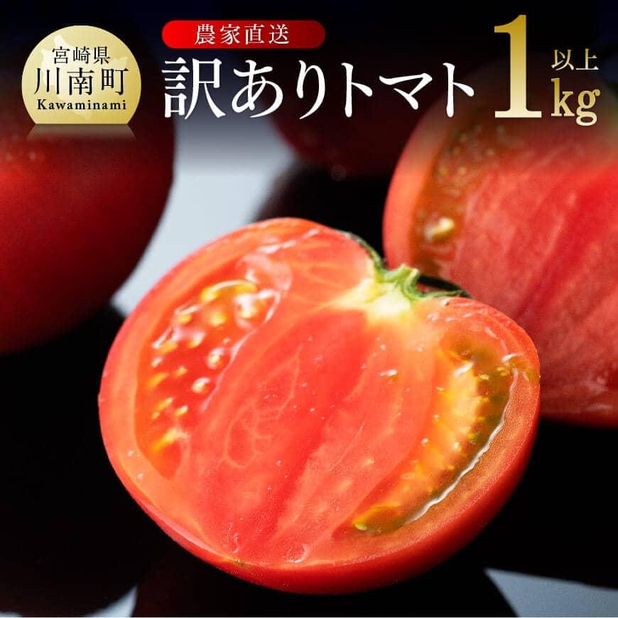 【ふるさと納税】【訳あり】宮崎県産とまと 川南町産トマト１ｋｇ（９～１８個） - とまと トマト 宮崎県産 川南町産 農家直送 送料無料 E6602
