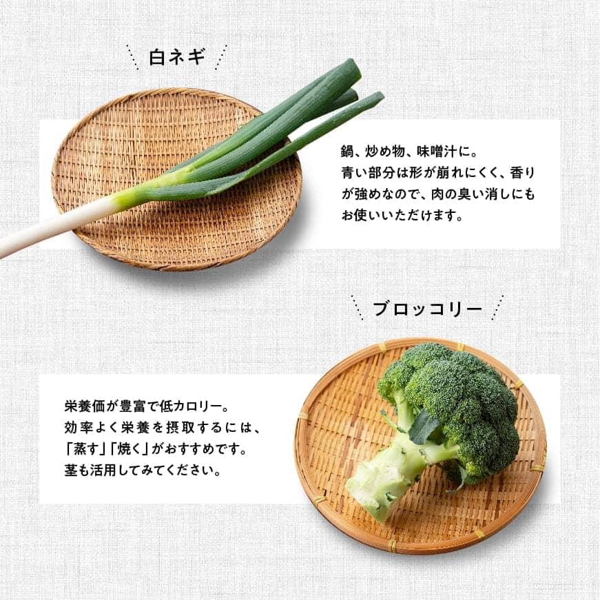 ふるさと納税 定期竿牘 結成直 おすず村落 お心やり 厳選詰め合わせ揃い 偉い 宮崎県産 川南ビレッジ産 季節の時期な生鮮 野菜 果物 お取り寄せ 送料無料 G3804 Eastjob Pl