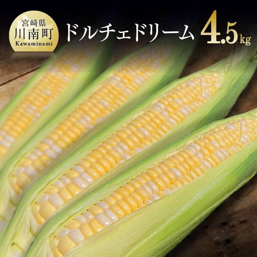 【ふるさと納税】 【令和7年発送】宮崎県産とうもろこし　大山さんちのスイートコーン「ドルチェドリーム」4.5kg - 先行予約 数量限定 期間限定季節限定 送料無料 2025年発送 九州産 宮崎県産 川南町産 D07101