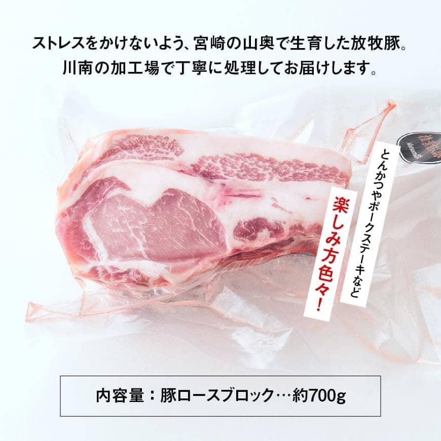 特価品コーナー☆ 豚肉 宮崎の山奥で育てられた宮崎の放牧豚 ロースブロック 九州産 宮崎県産 お取り寄せ 肉 送料無料 G8101 fucoa.cl