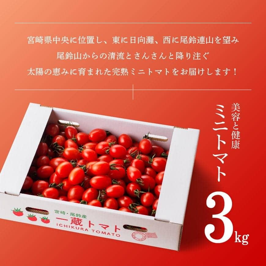 安い トマト ミニトマト 訳あり 訳ありミニトマト3kg 宮崎県川南町 工場直送 Sicemingenieros Com