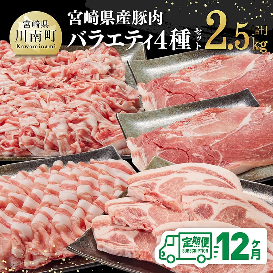 【ふるさと納税】【12ヶ月定期便】宮崎県産豚肉バラエティ4種セット2.5kg - 肉 豚 豚肉 ロース バラ 切り落とし D07502t12