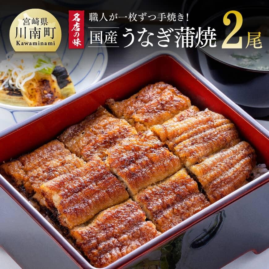 ふるさと納税 高石市 【2尾】活鰻 おいしいうな丼が作れる国産うなぎ蒲焼2本(タレ2ヶ入)