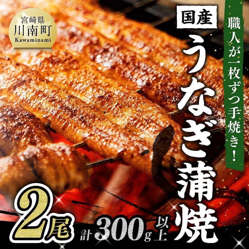 ふるさと納税 国産うなぎ蒲焼 2尾分 300g以上 ひむか山道うなぎ うなぎ オリジナルタレ 粉山椒 セット うなぎ 鰻 かば焼き 手焼き 宮崎県産 川南町産 九州産 ブランドウナギ おかず 冷凍 送料無料 G8401 Meguiars Com Do