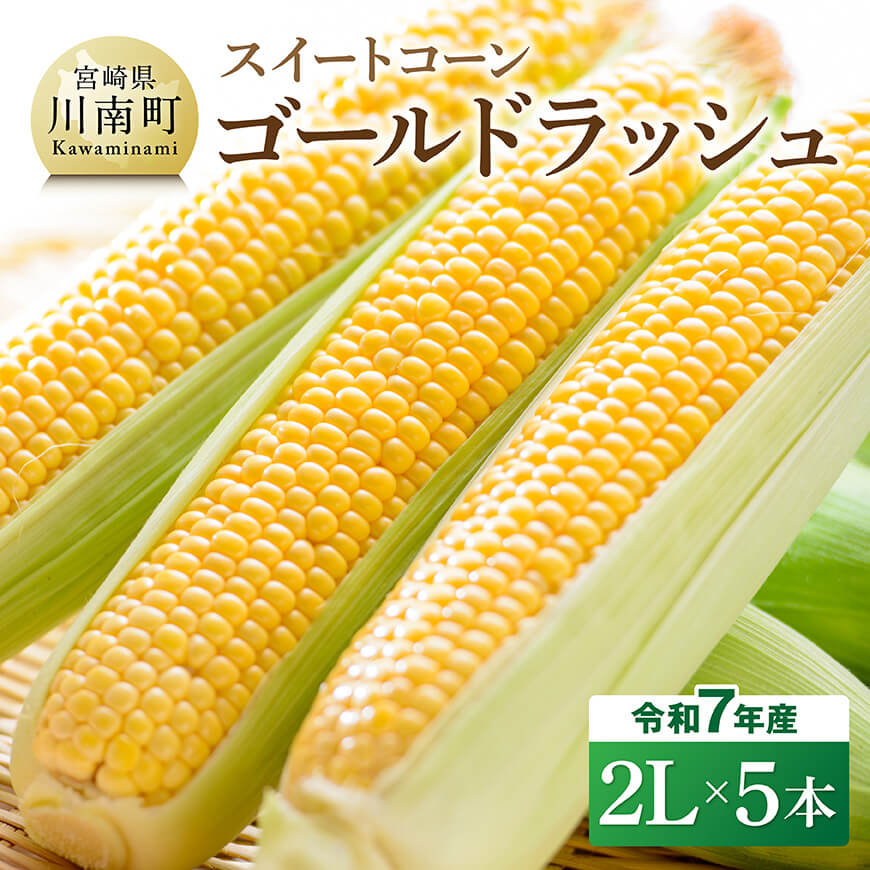 【ふるさと納税】【令和7年発送】宮崎県産とうもろこし　スイートコーン「ゴールドラッシュ」2L×5本 - 新鮮 農家直送 トウモロコシ 産地直送 季節限定 期間限定 宮崎県産 九州産 D09109