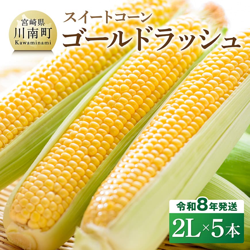 【ふるさと納税】【令和8年発送】宮崎県産とうもろこし　スイートコーン「ゴールドラッシュ」2L×5本 - 新鮮 農家直送 トウモロコシ 産地直送 季節限定 期間限定 宮崎県産 九州産 C09109