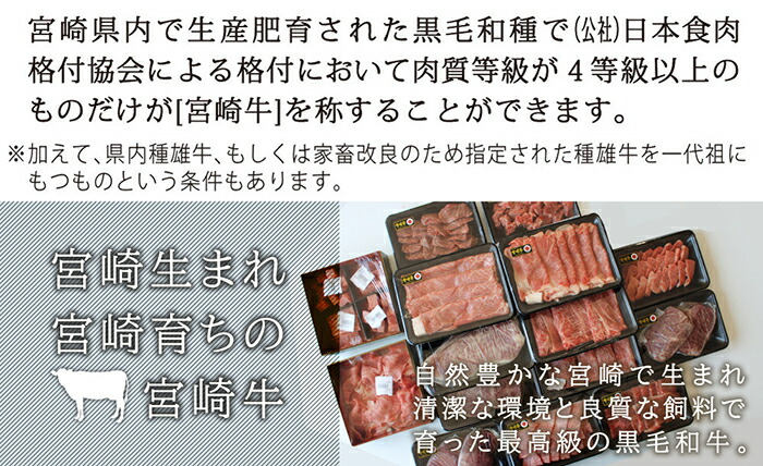 定番 定期便 全9回 連続 宮崎牛定期便食べ比べ贅の極み 9カ月コース しゃぶしゃぶ すき焼きにご使用いただけるスライスやBBQやご自宅での焼肉  ステーキ用のお肉を月替わりでお届け omegaautocliniccorp.com