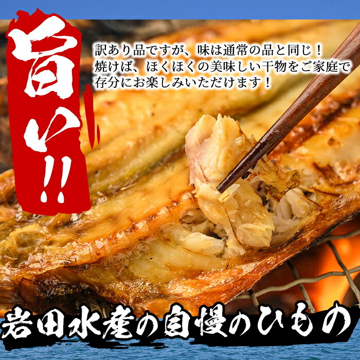 ふるさと納税 訳あり 岩田水産生の 門川産訳あり干物 和3 5kg以上 6毛色以上 As 2 岩田水産 Cannes Encheres Com