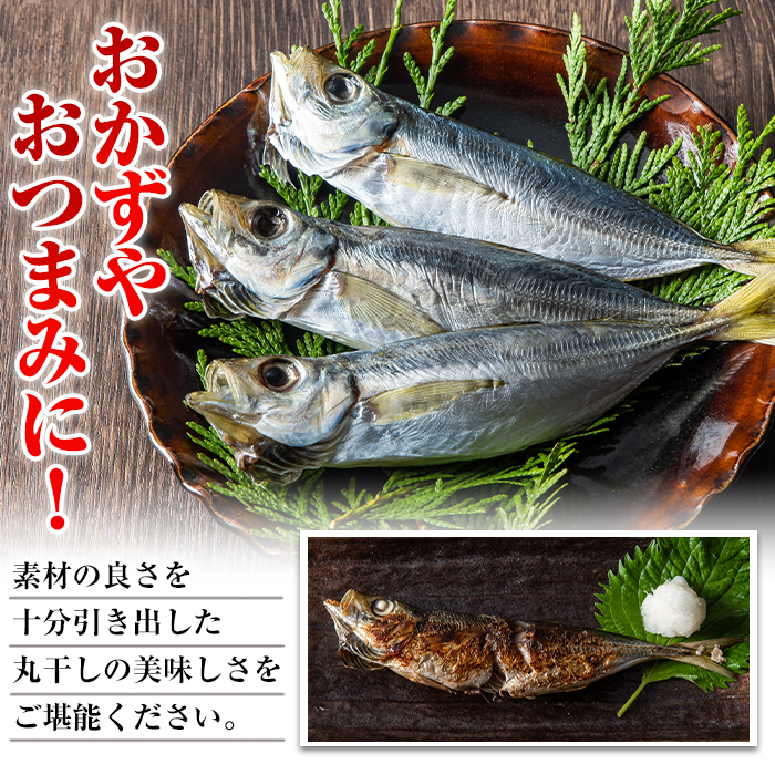 ふるさと納税 国産真あじ丸干し48尾セット 16尾 3箱 計2 5kg以上 九州近海どれの真アジ干物 おかずやおつまみに大活躍 E 21 水永水産 Giosenglish Com