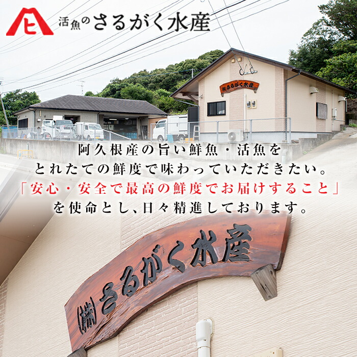 工場直送 鹿児島県産地たこのゆでたこ 1kg 2 4杯 新鮮な地ダコを自慢の味付けで湯がき揚げました 刺身はもちろん 磯辺焼きやたこ焼き 唐揚げなどの料理にもおすすめ さるがく水産 4 18 鹿児島県阿久根市 独創的 Vancouverfamilymagazine Com