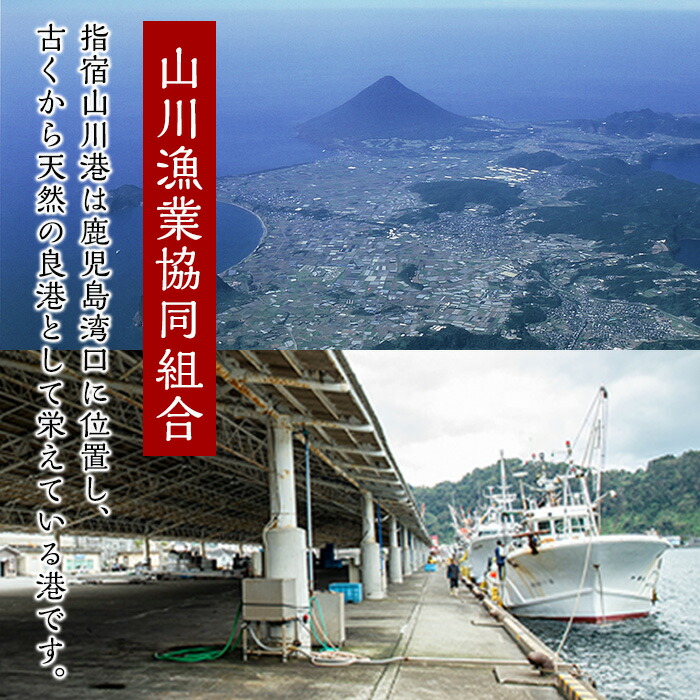 市場 ふるさと納税 かつおの町 2種200g×10P 合計2kg かつおのはら皮 指宿市山川ならでは