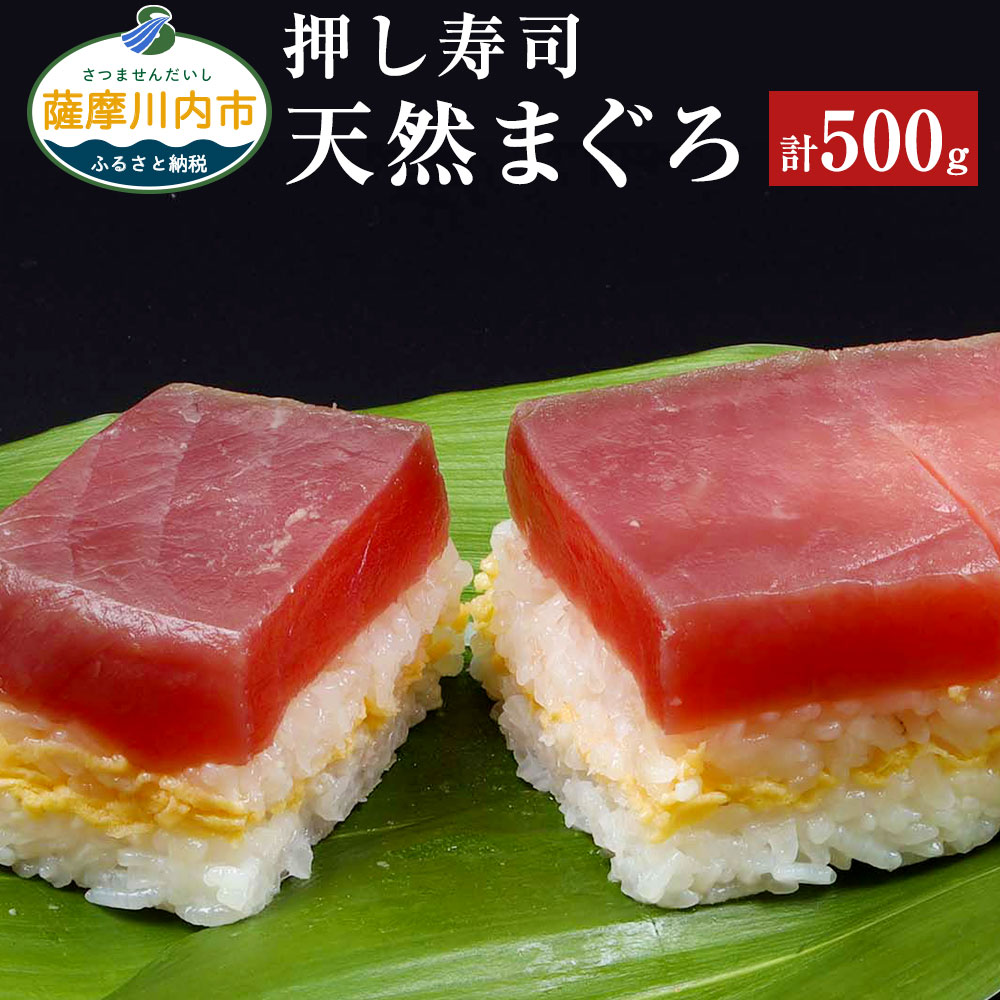 ふるさと納税 押し寿司 天然まぐろ 合計500g 250g 2本 寿司 セット 鮪 まぐろ 天然 冷凍 鹿児島県 薩摩川内市 送料無料 寿司ネタまぐろの上赤身を15mmに分厚くカットしてオリジナルの出汁につけてヅケにし 押し寿司にした商品です のサクセスストーリーでもあった