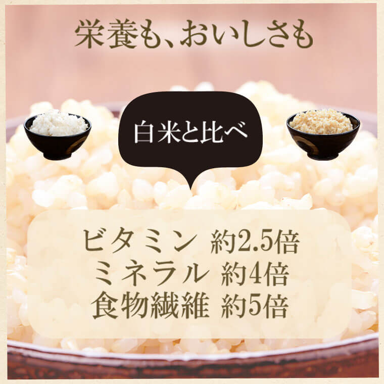 【ふるさと納税】発芽玄米2kg(1kg×2袋)発芽米GAVA(ギャバ)美容健康万能食品五つ星お米マイスター厳選国産鹿児島県薩摩川内市送料無料