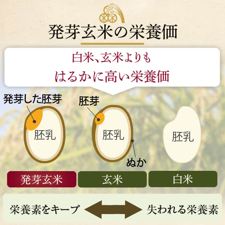 【ふるさと納税】発芽玄米4kg(1kg×4袋)発芽米GAVA(ギャバ)美容健康万能食品五つ星お米マイスター厳選国産鹿児島県薩摩川内市送料無料