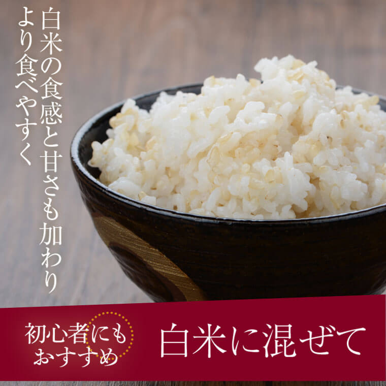 【ふるさと納税】発芽玄米4kg(1kg×4袋)発芽米GABA(ギャバ)美容健康万能食品五つ星お米マイスター厳選国産鹿児島県薩摩川内市送料無料