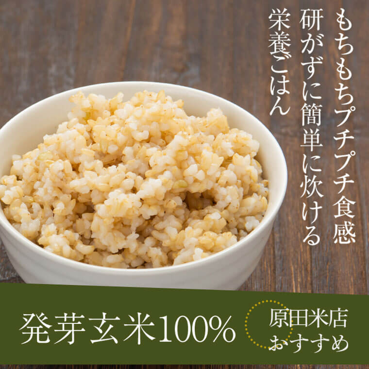 【ふるさと納税】発芽玄米4kg(1kg×4袋)発芽米GABA(ギャバ)美容健康万能食品五つ星お米マイスター厳選国産鹿児島県薩摩川内市送料無料