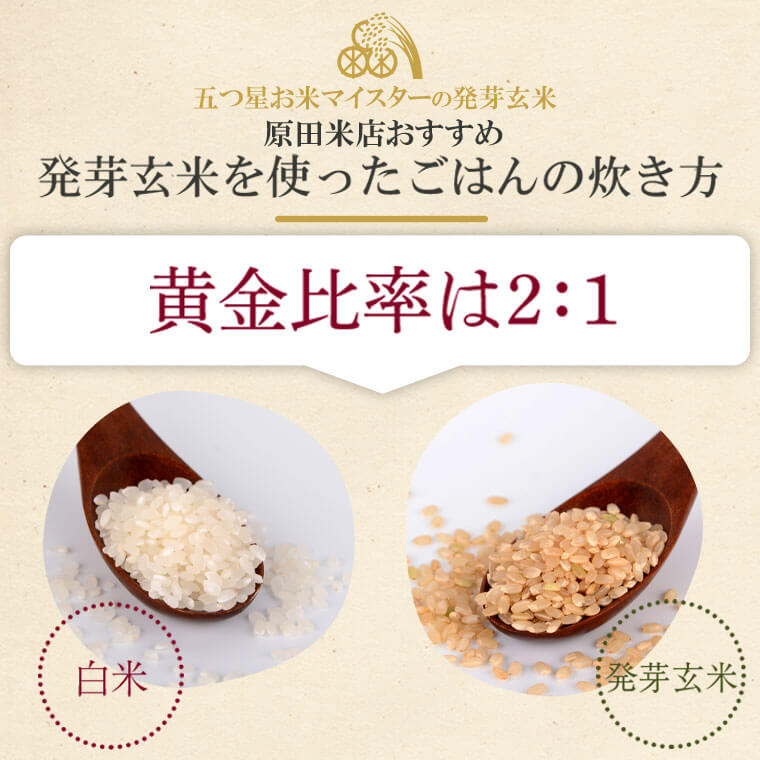 【ふるさと納税】発芽玄米4kg(1kg×4袋)発芽米GABA(ギャバ)美容健康万能食品五つ星お米マイスター厳選国産鹿児島県薩摩川内市送料無料