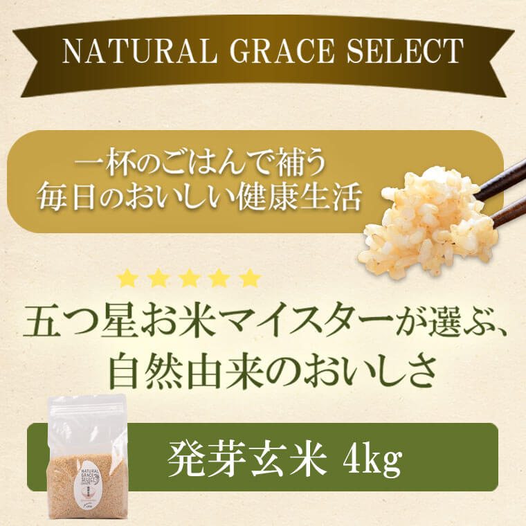 【ふるさと納税】発芽玄米2kg(1kg×2袋)発芽米GAVA(ギャバ)美容健康万能食品五つ星お米マイスター厳選国産鹿児島県薩摩川内市送料無料