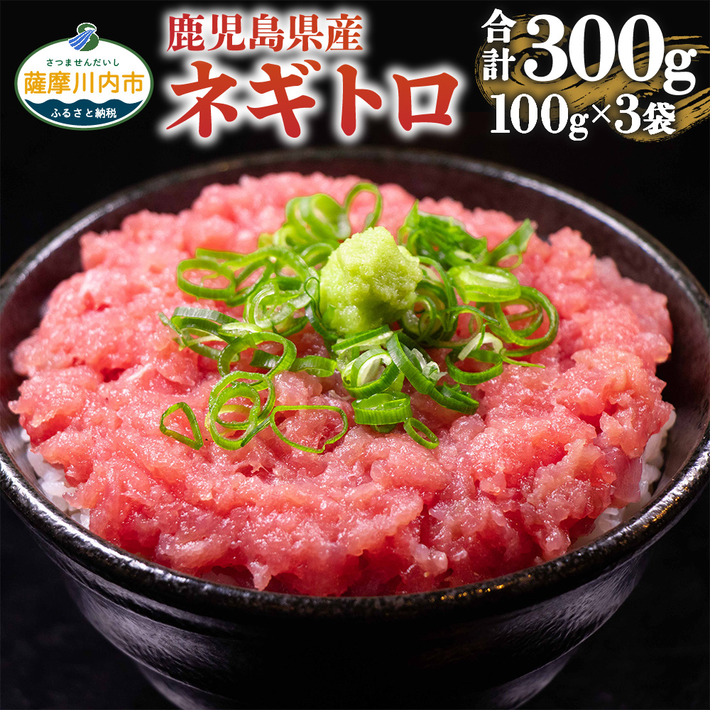 手数料安い - ネギトロ様 専用ページ - 新宿:16217円 - 肉