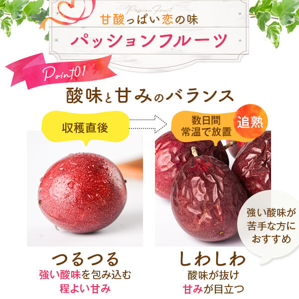 ふるさと納税 熱血フルーツ製作気格組 ドリンク シロップ ジャム 7月読みからの仕向けになります 会期拘束 クォンティティー限定 トロピカルフルーツ 快い 評判 ホロ苦い 南国フルーツ 時期のフルーツ 旬の果物 シーズンのフルーツ 果物 鹿児島県 薩摩川内品評会