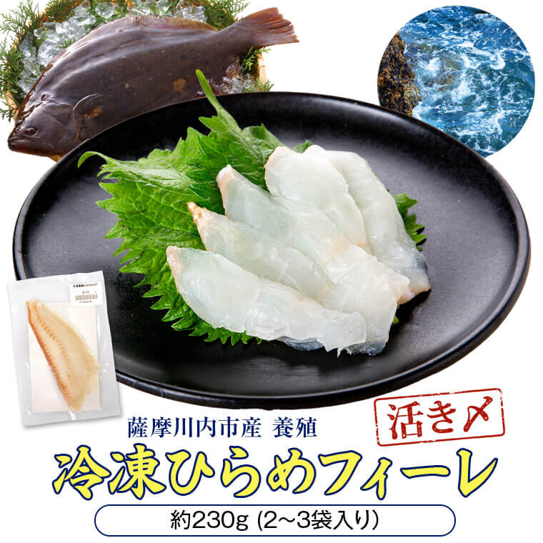 ひらめ 冷凍 フィーレ 刺身 さしみ 食べきり 切り身 甑海峡 送料無料 230g ヒラメ フィレ 薩摩