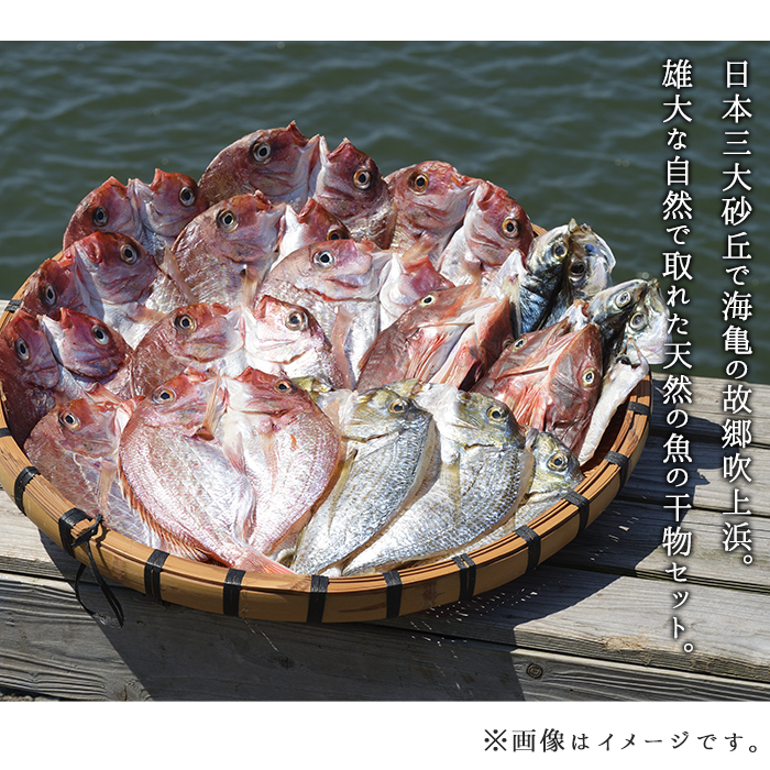 楽天市場 ふるさと納税 海産物セット 天然鯛 旬の魚の干物セット 総3kg 獲れたてタイと旬の魚介類 吹上町漁協 鹿児島県日置市