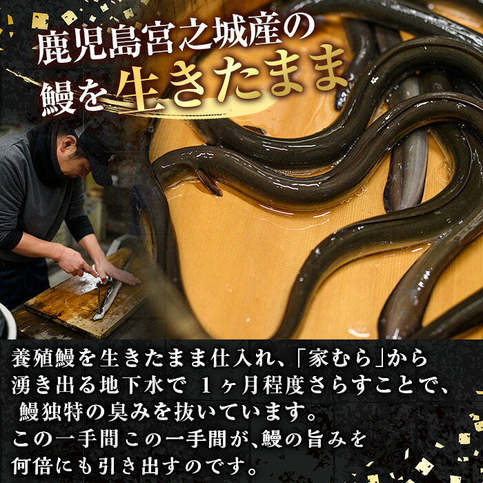 地鶏らーめん翔鶴 黄金色に輝くクリアなスープが抜群のうまさ 高崎市棟高町