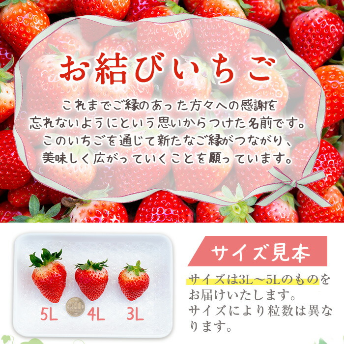 楽天市場 ふるさと納税 鹿児島県産さがほのか 400g 2個 計800g 時期によりさつまおとめ又はぴかいちごに変更になる 可能性があります 季節限定の果物 イチゴを数量限定でお届け 仲村雅農園 鹿児島県日置市
