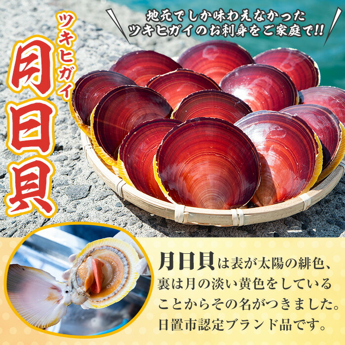 ふるさと納税 先行予約受付中 約400g 22年10月1日 23年3月31日の間に発送予定 刺身用ツキヒガイ貝柱 5 6粒入り 3袋 ふるさと納税 先行予約受付中 約400g 22年10月1日 23年3月31日の間に発送予定 刺身用ツキヒガイ貝柱 5 6粒入り 3袋