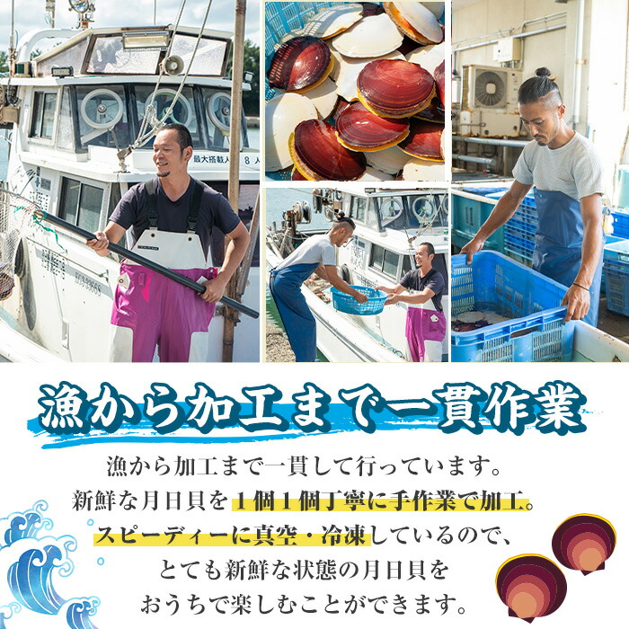 ふるさと納税 先行予約受付中 約400g 22年10月1日 23年3月31日の間に発送予定 刺身用ツキヒガイ貝柱 5 6粒入り 3袋 ふるさと納税 先行予約受付中 約400g 22年10月1日 23年3月31日の間に発送予定 刺身用ツキヒガイ貝柱 5 6粒入り 3袋