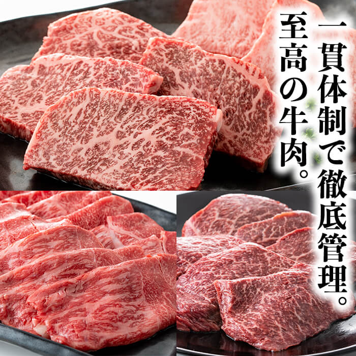 楽天市場 ふるさと納税 国産 鹿児島県産黒毛和牛 A5等級 赤身ステーキ 合計600g 300g 2パック 程よくサシが入ったステーキ肉 冷凍 でお届け カミチク 鹿児島県曽於市