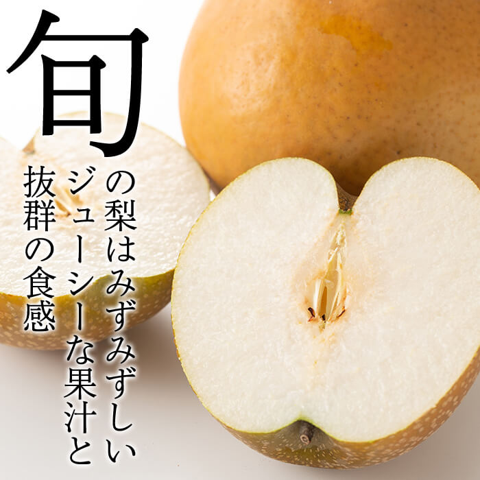 【楽天市場】【ふるさと納税】＜先行予約受付中！2020年8月5日～11月末の間に発送予定＞梨詰め合わせ(約2.5kg