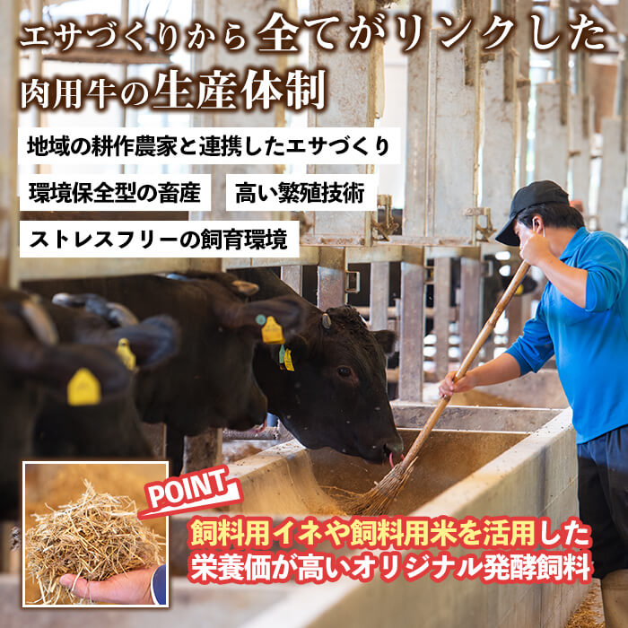 全国一律送料無料 鹿児島県産南国黒牛 南国スイート豚焼肉セット 計700g 牛肉と豚肉両方を楽しめる牛バラ肉 牛モモ肉 豚バラ肉の焼き肉セット Fucoa Cl