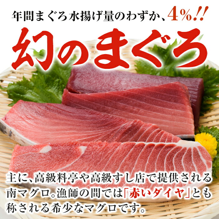 楽天市場 ふるさと納税 定期便 南マグロ刺身用柵 8本セット 6ヶ月 希少な南まぐろ の大トロ 上トロ 中トロ 赤身を毎月お届け 総合計約10kg以上 高級料亭や高級寿司店等で利用される幻の鮪 新洋水産 鹿児島県いちき串木野市