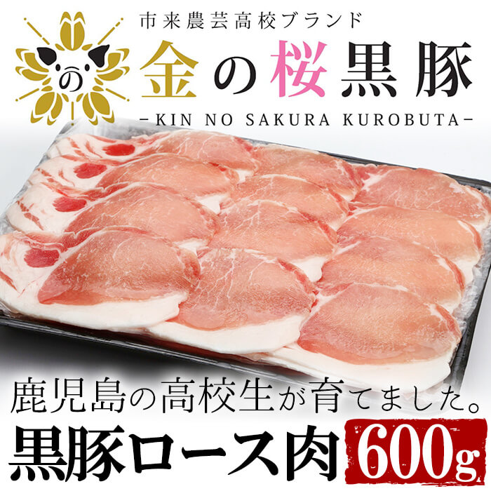 市場 ふるさと納税 鹿児島県産黒豚ロールステーキバラ肉 100g×6袋