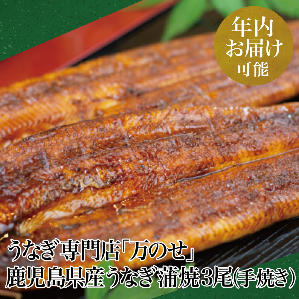 楽天市場 ふるさと納税 年内お届け指定ok 鹿児島県産 鰻 うなぎ専門店 万のせ うなぎ蒲焼 手焼き 秘伝のタレつき 南さつま市 送料無料 鹿児島県南さつま市