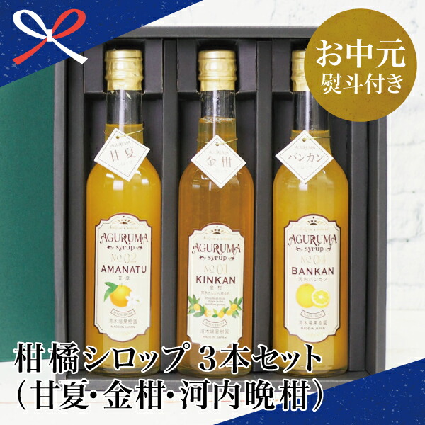 ふるさと納税 お中元ギフト 柑橘シロップ 本セット 甘夏 金柑 河内晩柑 南さつま市 贈り物 夏ギフト 贈答用 送料無料 のし対応 お中元熨斗付き Highsoftsistemas Com Br