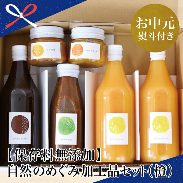 ふるさと納税 お中元ギフト 保存料無添加 自然のめぐみ加工品セット 橙 果物 柑橘 金柑 ぽんかんジュース きんかんジャム とりみそ 焼肉のたれ ぽんかんポン酢 大浦町農産加工組合 南さつま市 贈り物 夏ギフト 贈答用 送料無料 のし対応 お中元熨斗付き Psicologosancora Es