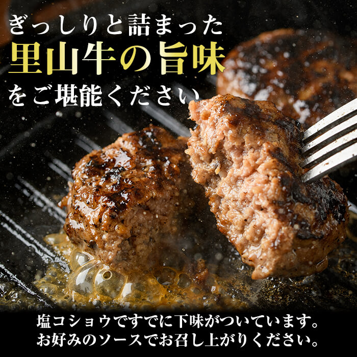 【ふるさと納税】牧草牛100%使用!手作りハンバーグ1kg(100g×10個)南九州産黒毛和牛のお母さん牛を放牧したさかうえの牧草牛を贅沢に使用!ぎっしりとつまった牧草牛の旨みをご堪能ください!【さかうえ】a5-154