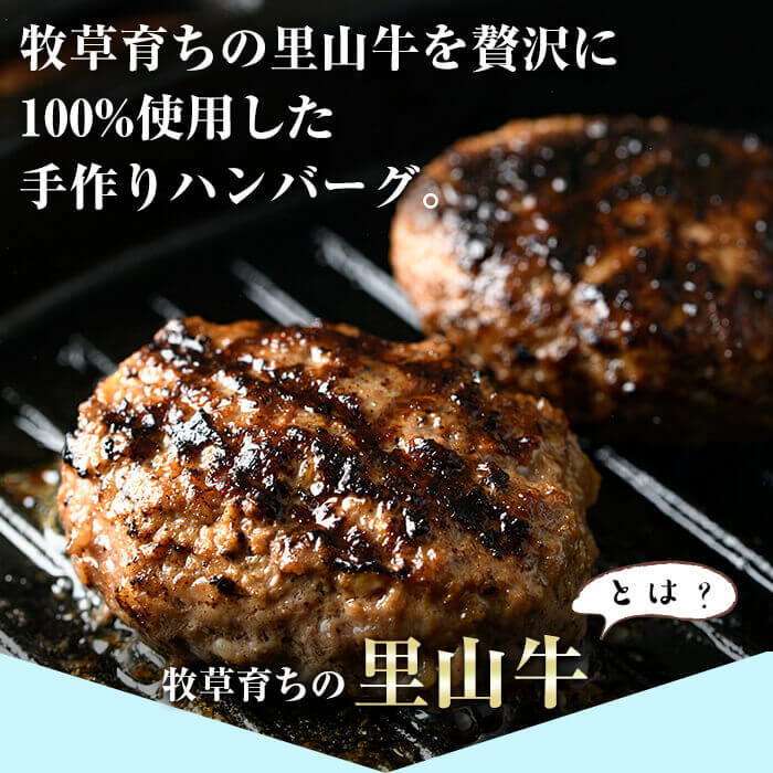 【ふるさと納税】牧草牛100%使用!手作りハンバーグ1kg(100g×10個)南九州産黒毛和牛のお母さん牛を放牧したさかうえの牧草牛を贅沢に使用!ぎっしりとつまった牧草牛の旨みをご堪能ください!【さかうえ】a5-154