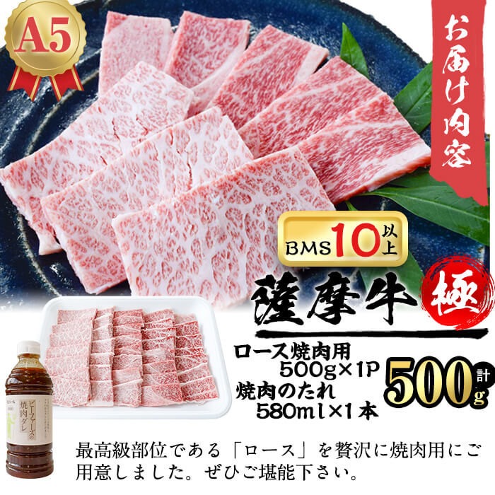 ふるさと納税 鹿児島県プロダクションa5程度 Bms10当番以上 薩摩雌牛 やたら ロース焼肉用向 500g焼肉のたれ運 プライベートブランド 薩摩牛 の中点でも A5 Bms10以上の割増しな鹿児島県産黒毛和牛 薩摩牛極 極秀抜部位で在すロースを贅に焼き肉に カミチク A8 038