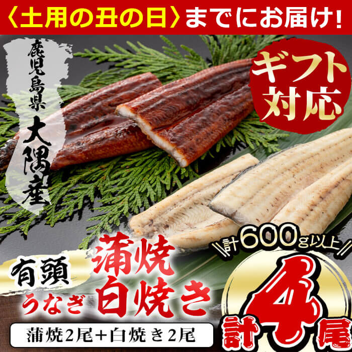 お中元 食べ比べ ふるさと納税 B0 101 鹿児島県志布志市 惣菜 贈り物におすすめ 丑の日までにお届け ふるさと納税 丑の日までにお届け 蒲焼き 和風惣菜 熨斗 包装 配送日指定承ります 特産品 楠田の極うなぎ蒲焼2尾 白焼き2尾150g以上 4尾 計600g