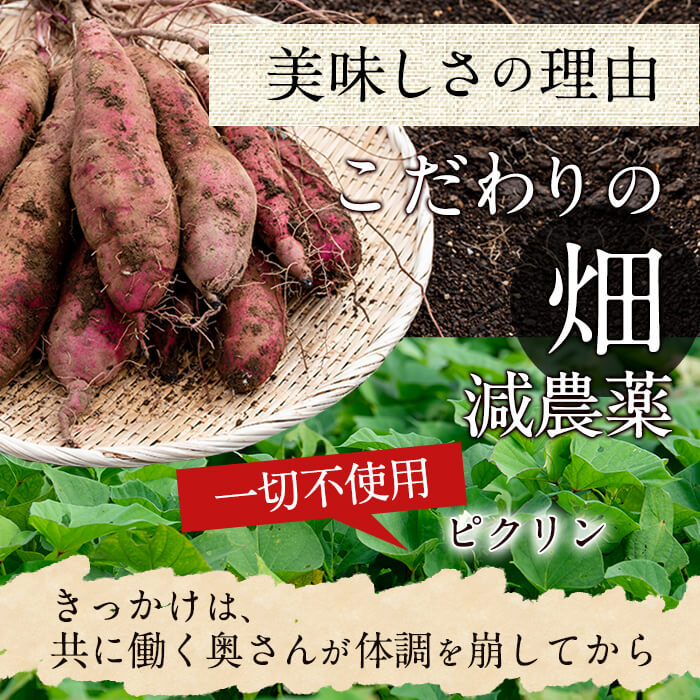 楽天市場 ふるさと納税 先行予約受付中 21年11月中旬 12月中旬に発送予定 数量限定 国産 まことの芋 さつまいも 紅はるか 3 5kg に安納芋 1 5kg を添えて計5kg 鹿児島県志布志産の熟成サツマイモ 生芋 をお菓子 焼き芋に 上迫農園 A3 041 鹿児島