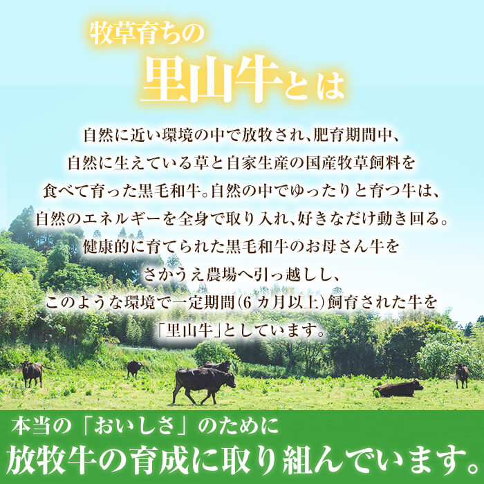 【ふるさと納税】牧草牛100%使用!手作りハンバーグ1kg(100g×10個)南九州産黒毛和牛のお母さん牛を放牧したさかうえの牧草牛を贅沢に使用!ぎっしりとつまった牧草牛の旨みをご堪能ください!【さかうえ】a5-154