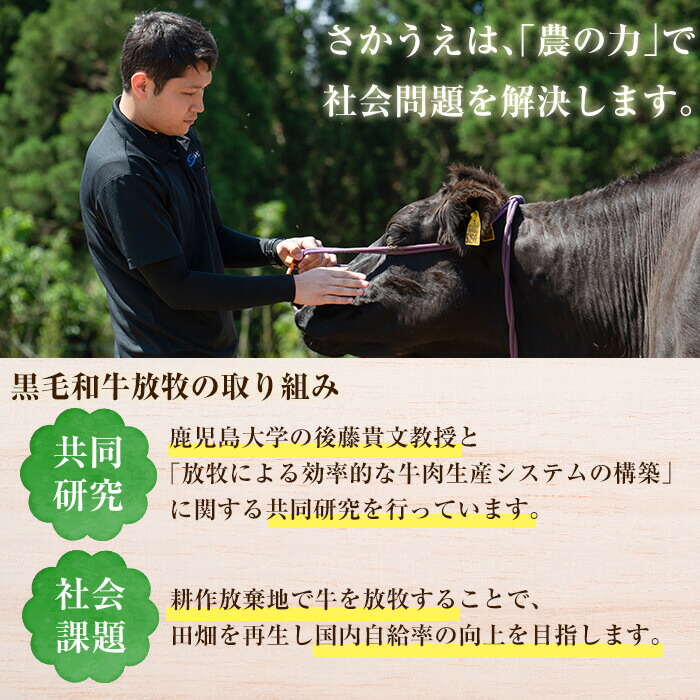 【ふるさと納税】牧草牛100%使用!手作りハンバーグ1kg(100g×10個)南九州産黒毛和牛のお母さん牛を放牧したさかうえの牧草牛を贅沢に使用!ぎっしりとつまった牧草牛の旨みをご堪能ください!【さかうえ】a5-154
