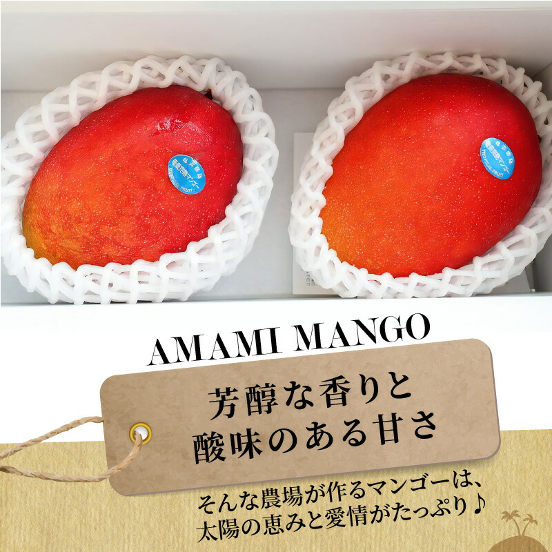 【ふるさと納税】奄美のあま〜い絶品マンゴー900g/優品